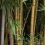 Bamboo Basics Beste Product van het jaar